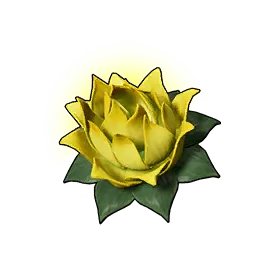 耐力之莲（小）