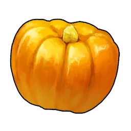 Pumpkin