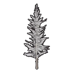 仿真积雪树木C