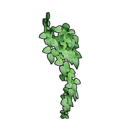 悬挂式小型藤蔓