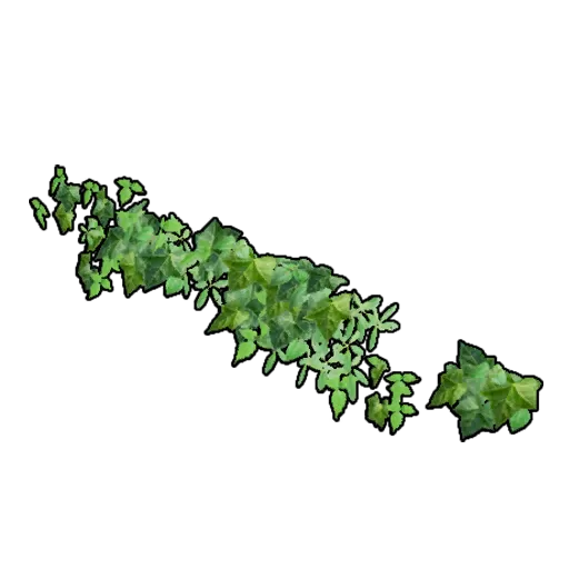 悬挂式长型藤蔓