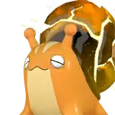 金涡蜗