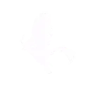 基因改造