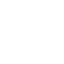 灵蛇之智