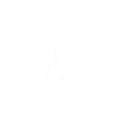 未来之炎