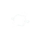 雪盆大口