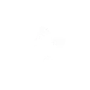 采摘野莓