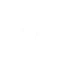 女王蜂的统率