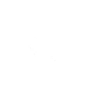 魅惑孢子